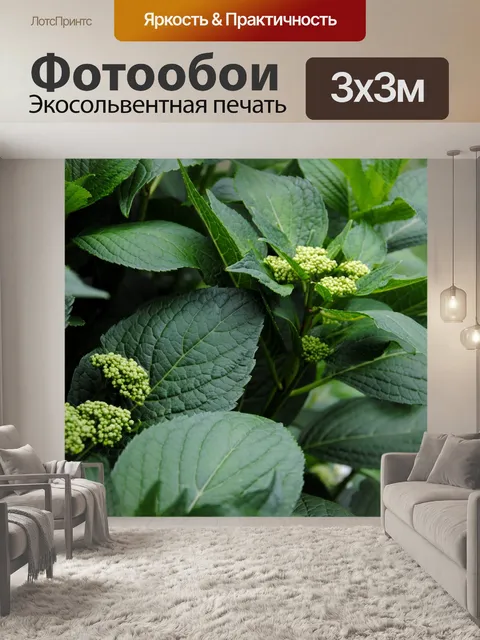 Фотообои Зеленые листья