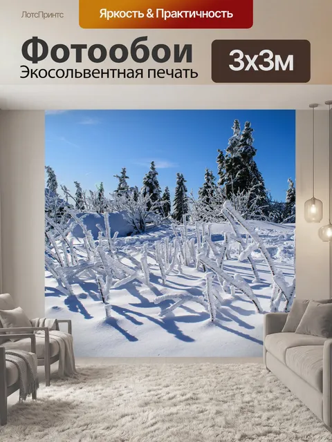 Фотообои Большое arber