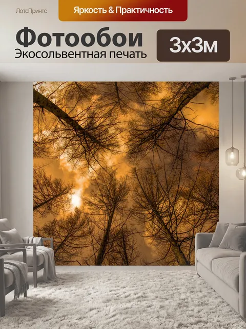 Фотообои Утро Красное Небо