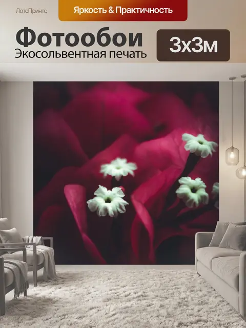 Фотообои Цветок