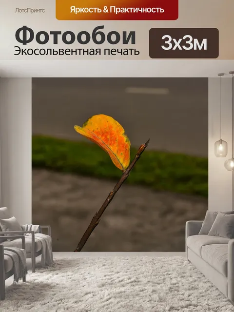 Фотообои Лист