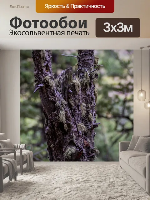 Фотообои мох