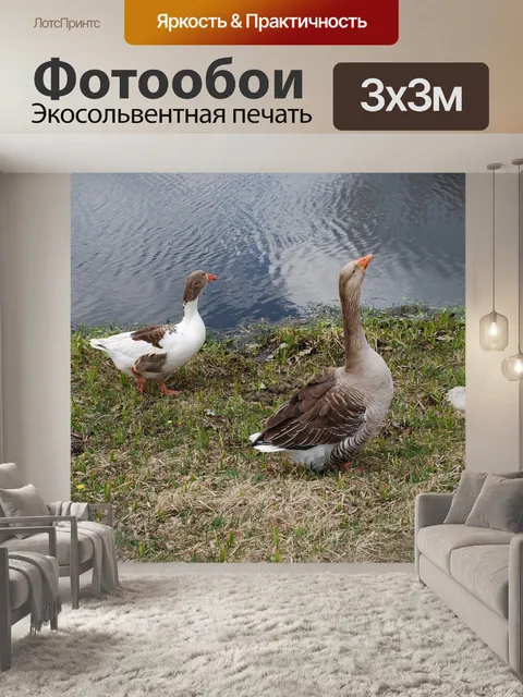 Фотообои Гусь