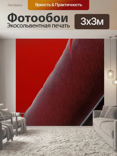 Фотообои Перо