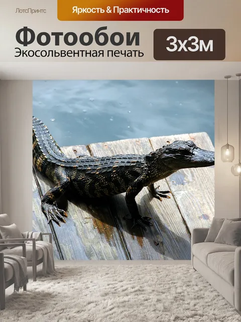 Фотообои Аллигатор на Dock