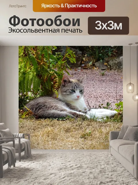 Фотообои Кошка