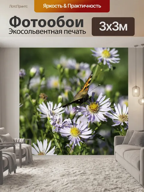 Фотообои Бабочка