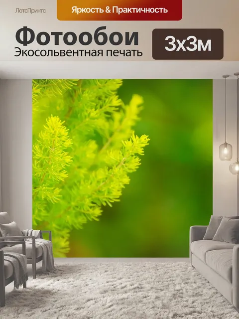 Фотообои Зеленые веточки