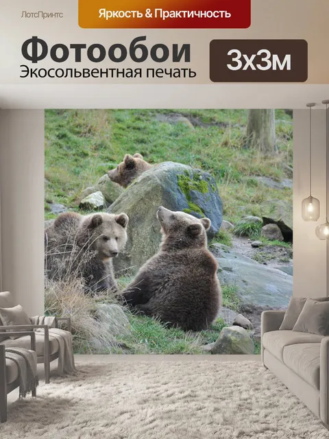 Фотообои Нести