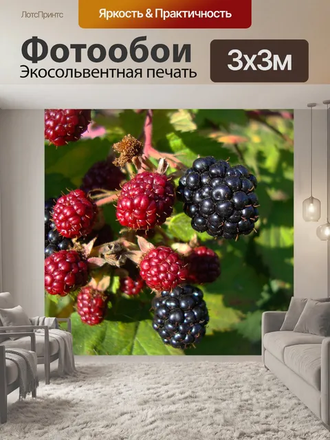 Фотообои Ягоды