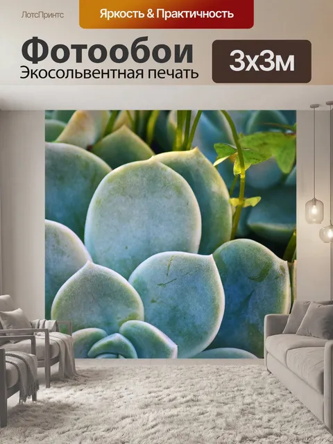 Фотообои роза пустынная сочная со светом