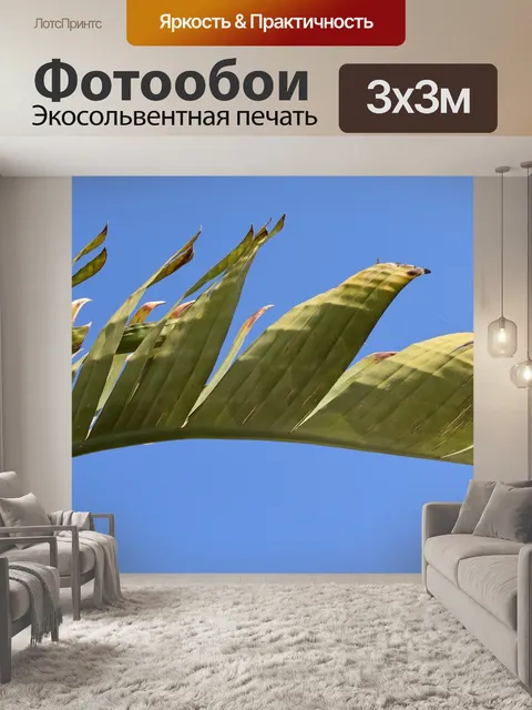 Фотообои Банановое дерево