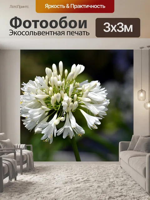 Фотообои Белые декоративные лук
