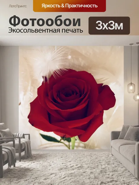 Фотообои Роза