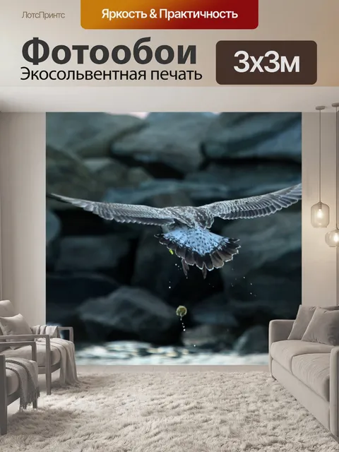Фотообои Чайка