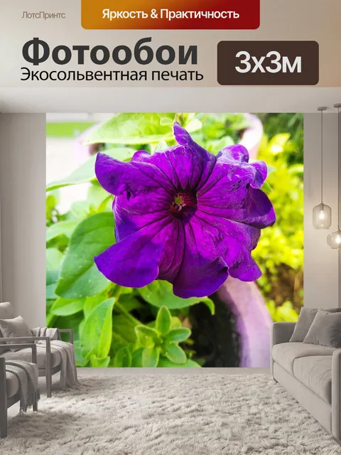 Фотообои Фиолетовый