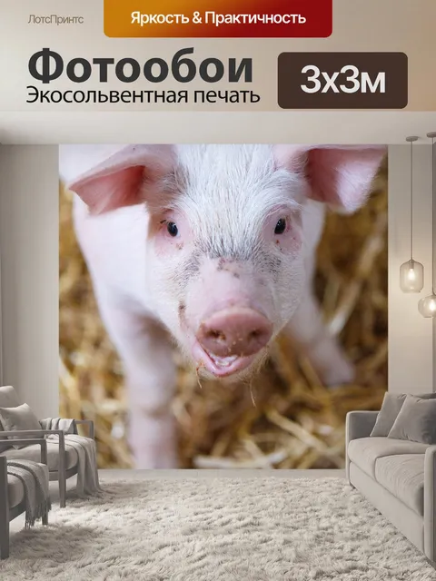 Фотообои поросенок в сарае