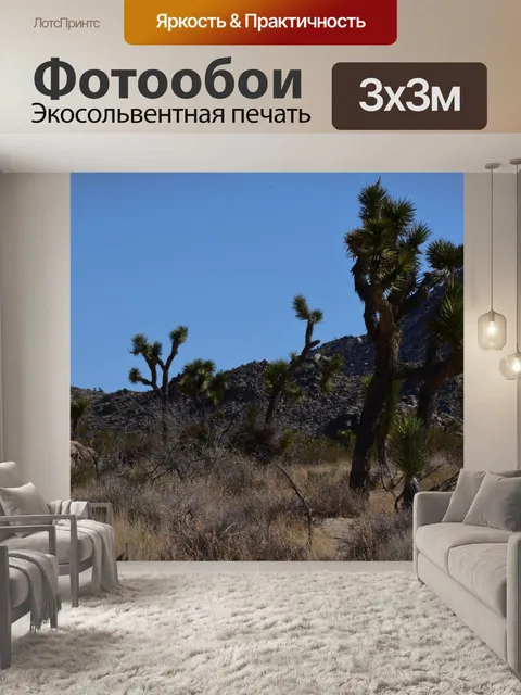 Фотообои Джошуа Три Юкка