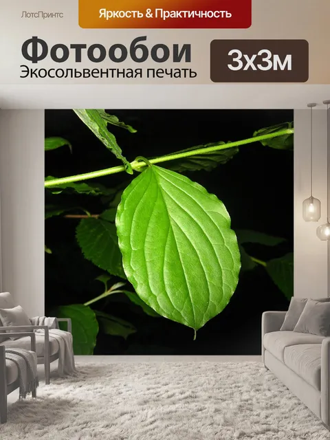 Фотообои Лист