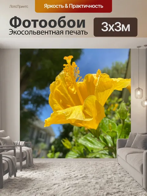 Фотообои Желтый гибискус
