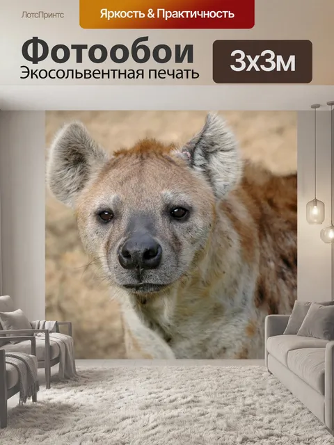 Фотообои Гиена