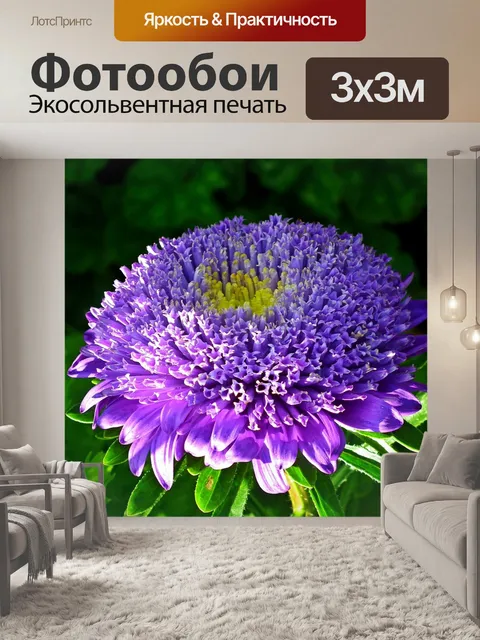 Фотообои Цветок