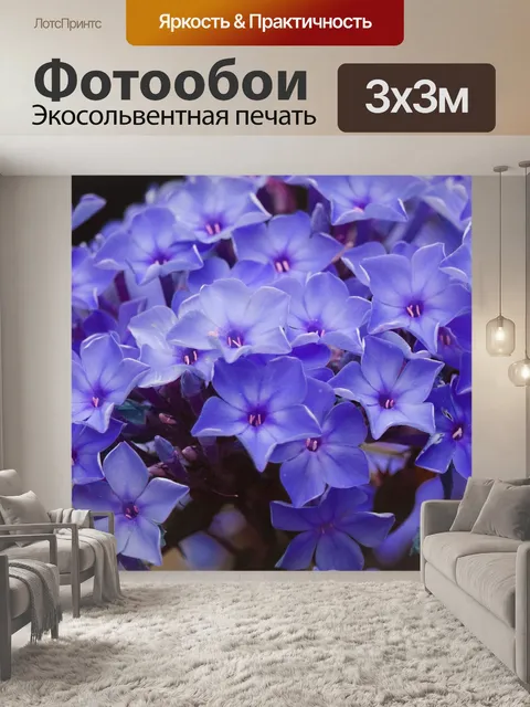 Фотообои Фиолетовый цветок гортензии