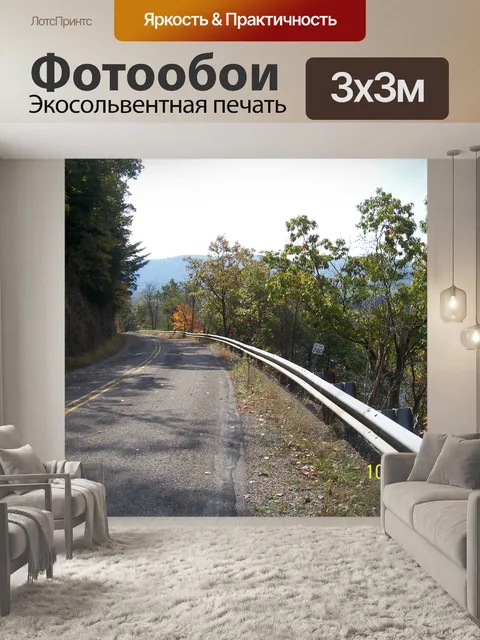 Фотообои Одинокая дорога