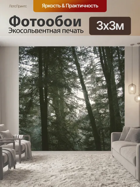 Фотообои Лес