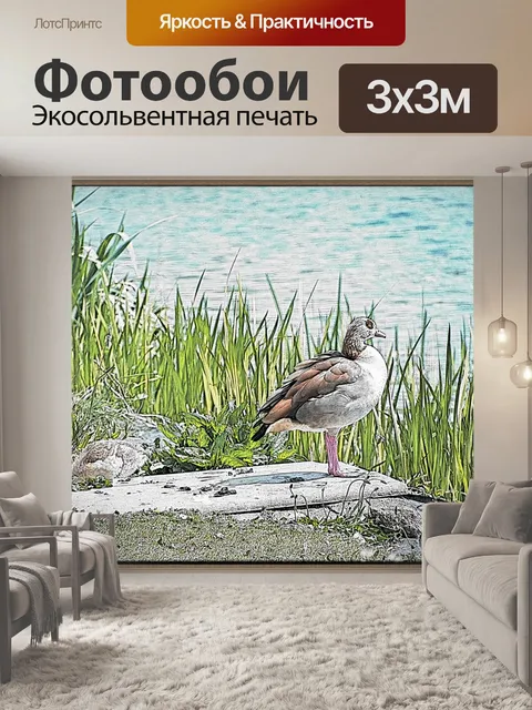 Фотообои Египетские гуси, обработка фотографий