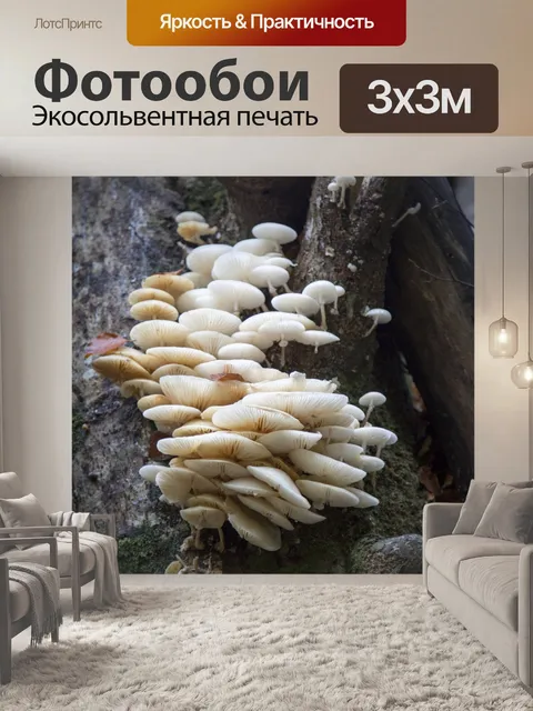 Фотообои грибы