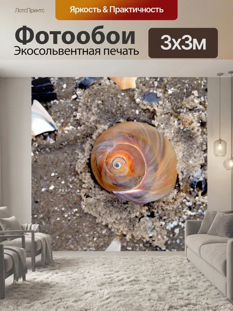Фотообои Морская ракушка