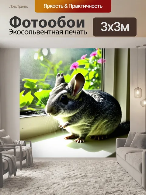 Фотообои шиншилла сидит на подоконнике