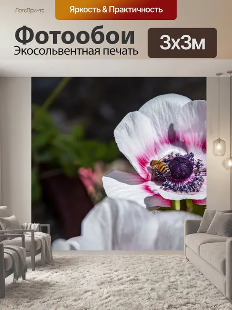 Фотообои мак анемон и пчела