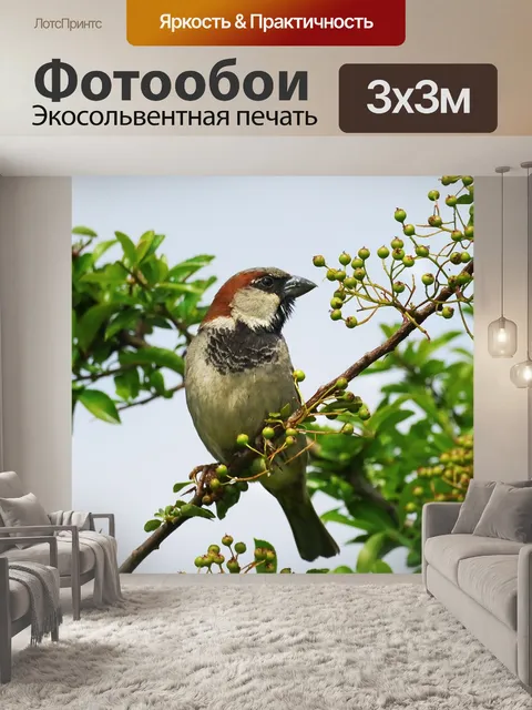 Фотообои Воробей