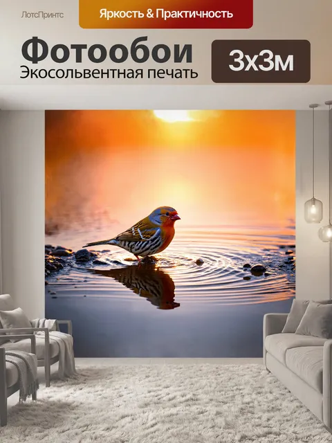 Фотообои зебровая амадина у водопоя, где солнечные лучи играют на поверхности воды, создавая блики и отражения