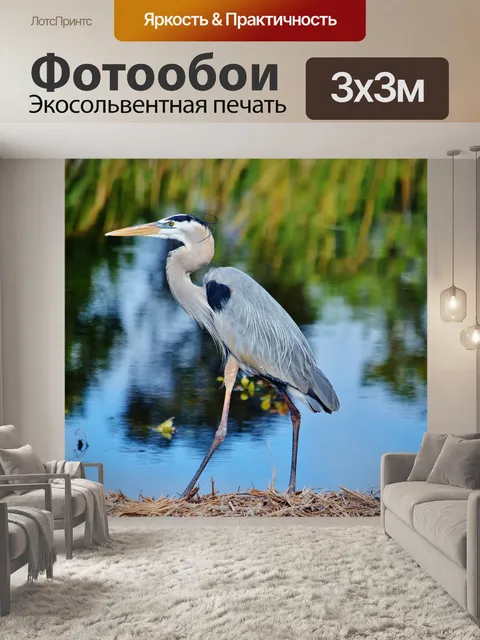 Фотообои Голубая цапля