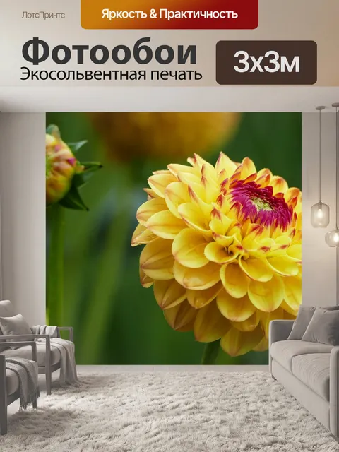 Фотообои Природа