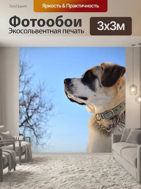 Фотообои Собака