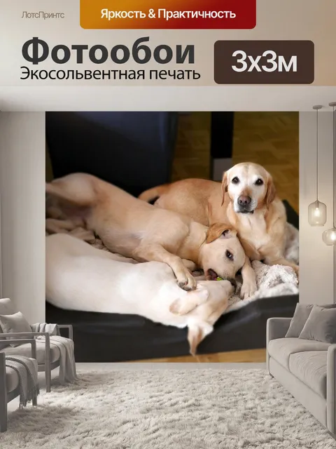 Фотообои Собаки