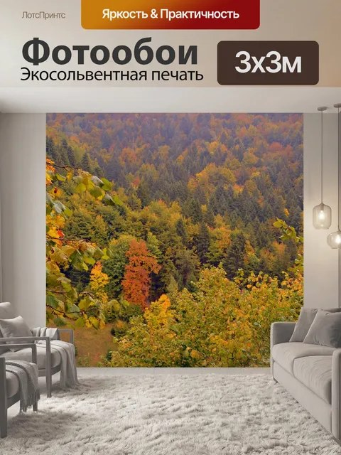 Фотообои Лес