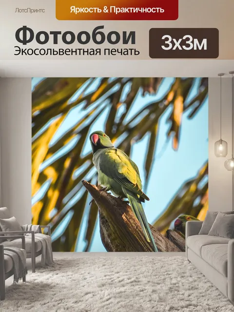 Фотообои Птица