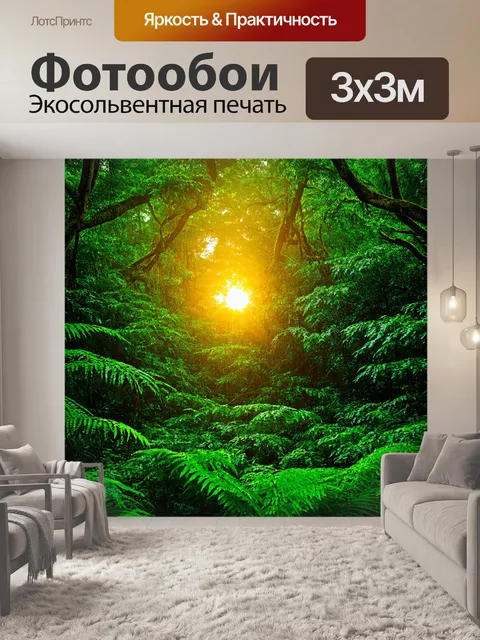 Фотообои рассвет в субтропическом лесу с обильными зелеными красками