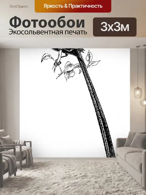 Фотообои Птица, Pin-хвостами Whydah