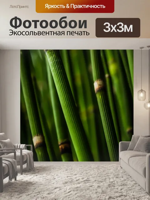 Фотообои Бамбук