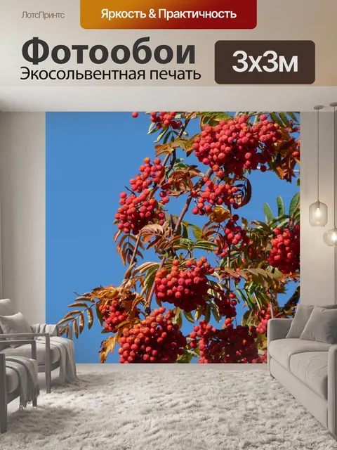 Фотообои Рябина