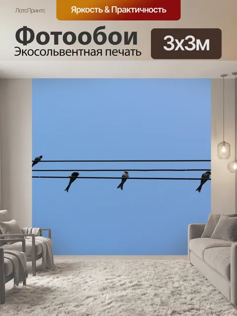 Фотообои Птица
