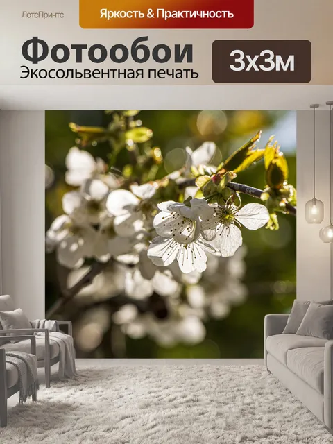 Фотообои Белые цветки