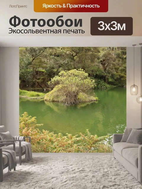 Фотообои Поле