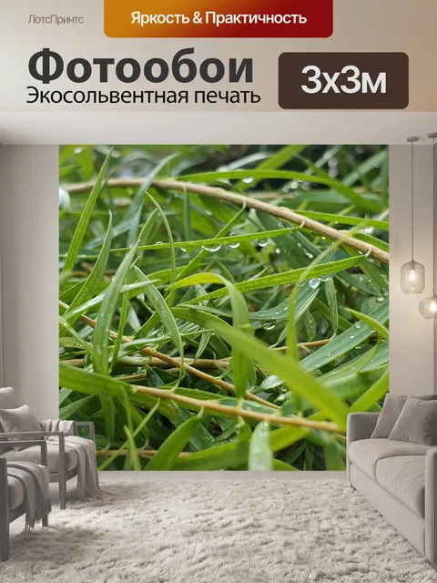 Фотообои Капли дождя на зеленых листьях